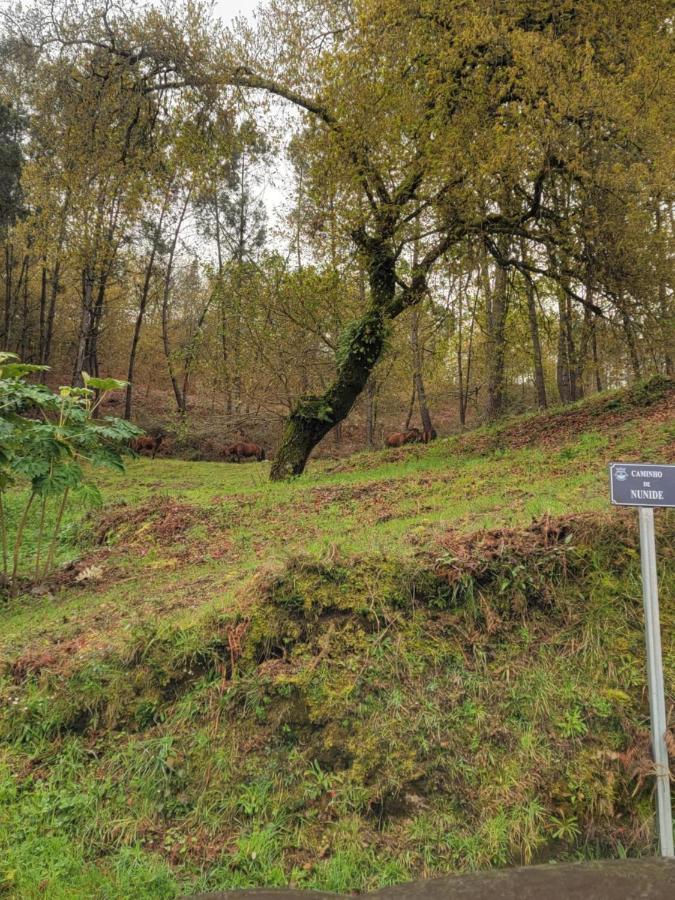 Вилла Quinta Da Picouta Аркуш-ди-Валдевеш Экстерьер фото